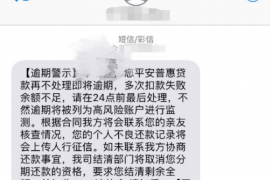 邹城为什么选择专业追讨公司来处理您的债务纠纷？